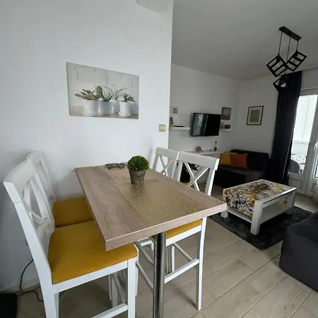 Apartament Coccinellidae